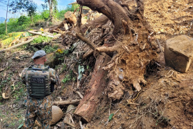 Polícia ambiental encontra estrada clandestina em Paraty