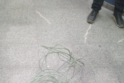PM prende criminoso com dez passagens após roubo de cabos de energia na Zona Norte
