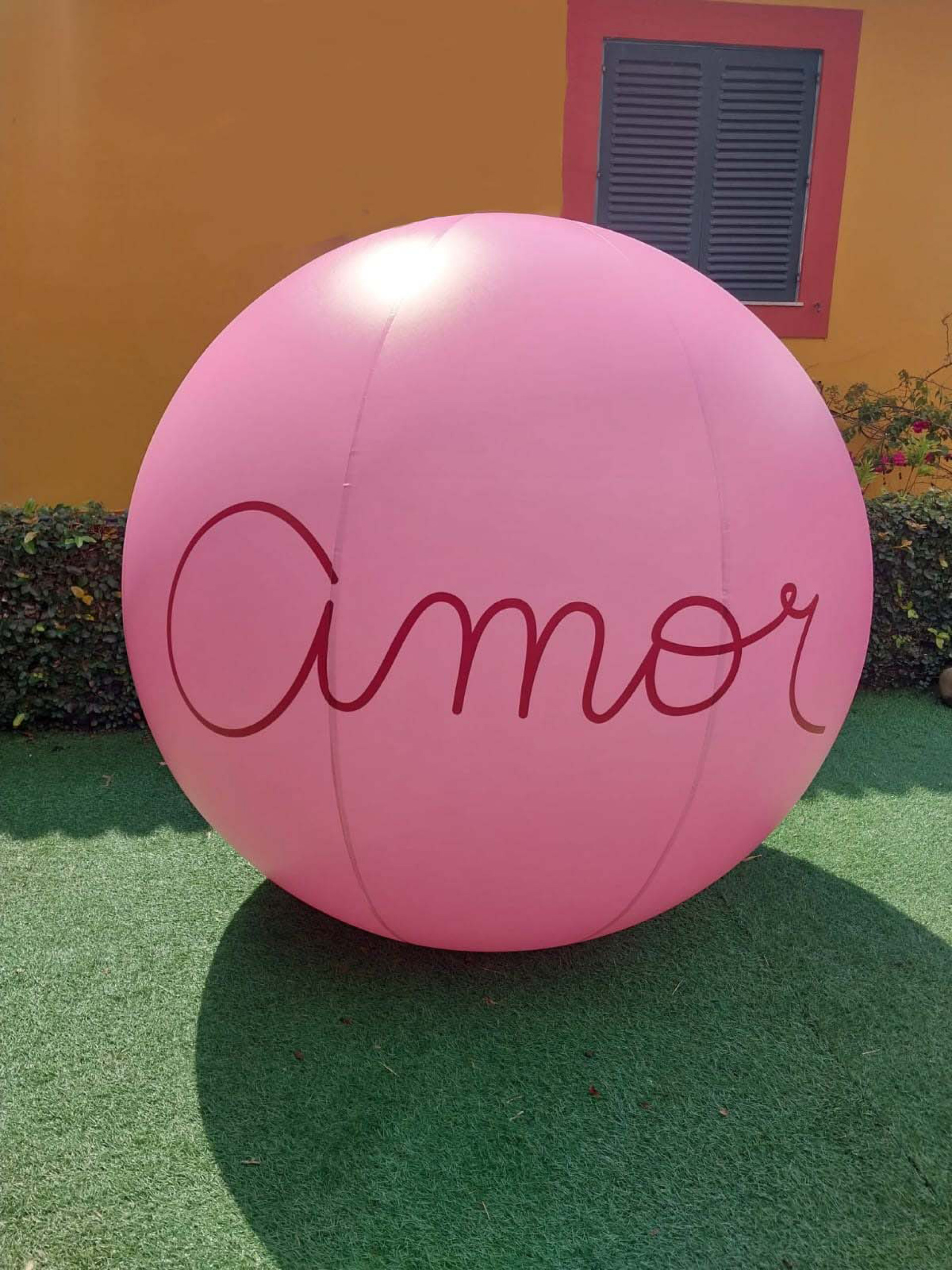 Maria Nepomuceno leva Bola Amor