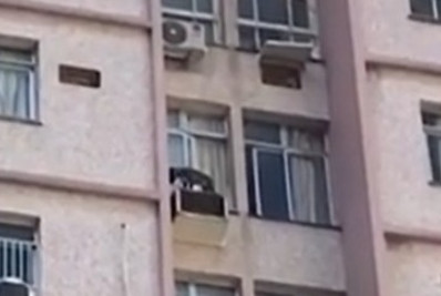 Cachorro é resgatado após ficar em cima de ar-condicionado no 10° andar de um prédio no Flamengo