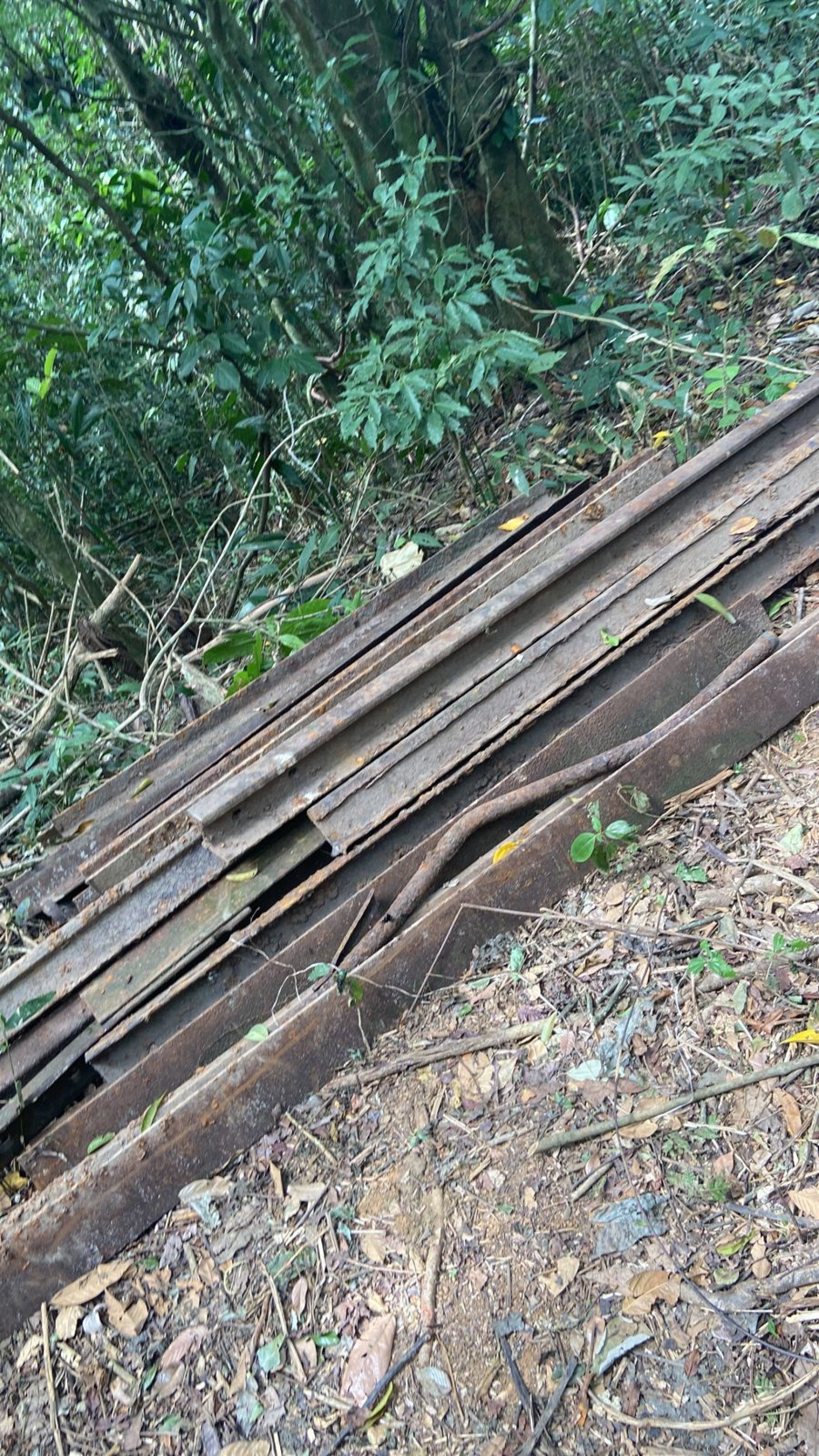 Trilhos da linha férrea da estação Jussaral ( desativada que ligava Angra à Barra Mansa) foram arrancados - Divulgação/Secretaria Municipal de Segurança Pública
