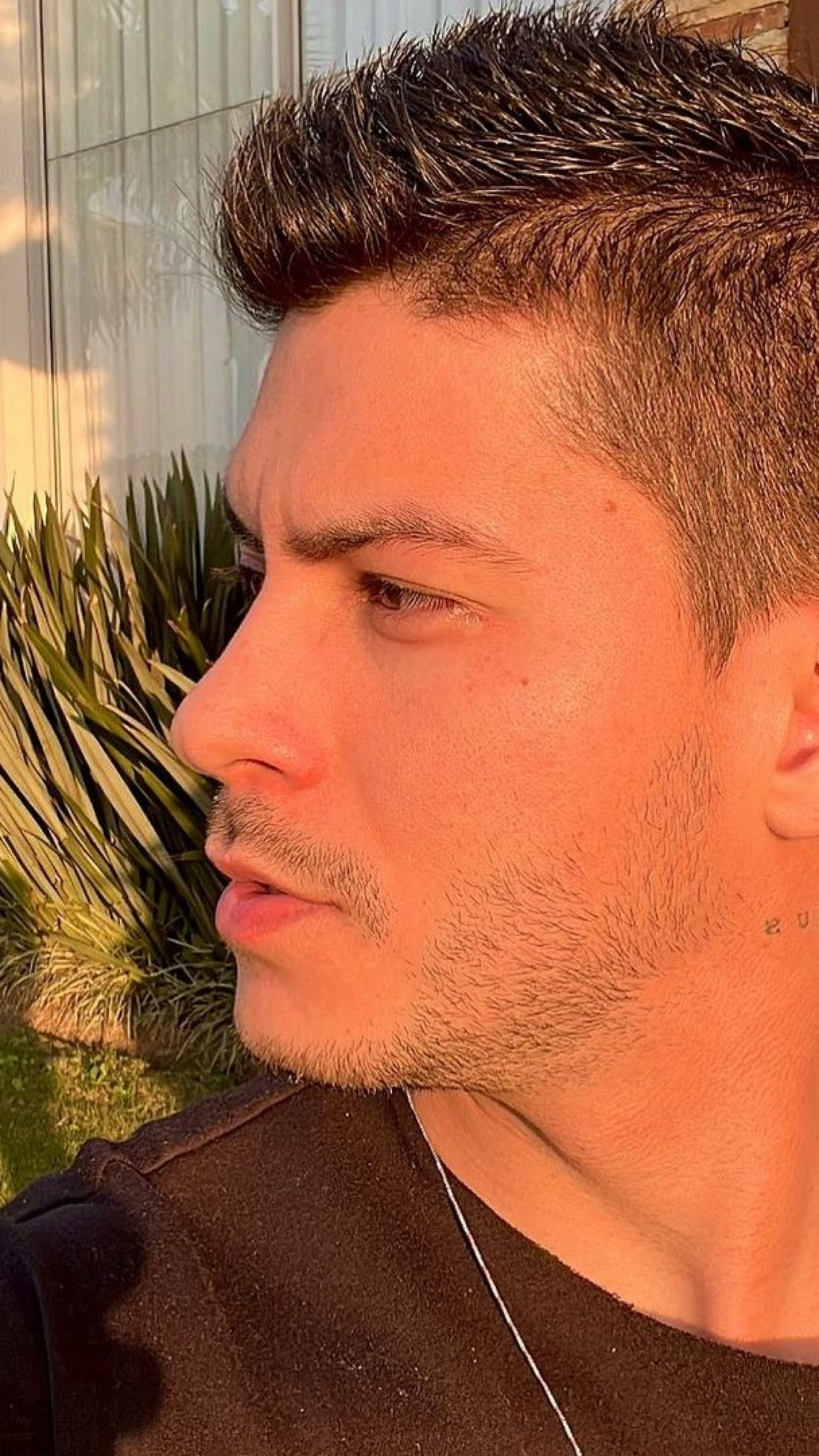 "Ser&aacute; que vem uma mini jheny ou um mini Arthur?? Nossa, foi muito dif&iacute;cil esperar at&eacute; agora pra poder dividir isso com voc&ecirc;s"
 - Reprodu&ccedil;&atilde;o / Instagram