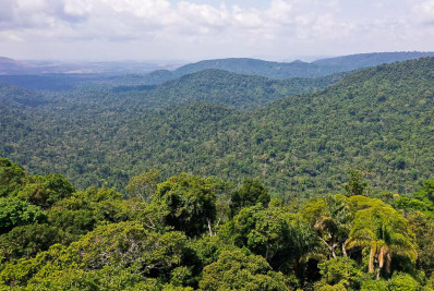 Mudança do clima: Amazônia reúne pesquisadores do Brasil e França