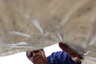 Projeto Do Mangue ao Mar se une ao Clean Up Day com ação de limpeza em praia de Angra