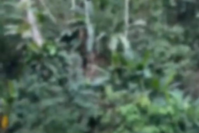 Acidente grave na Rio-Santos próximo ao complexo nuclear