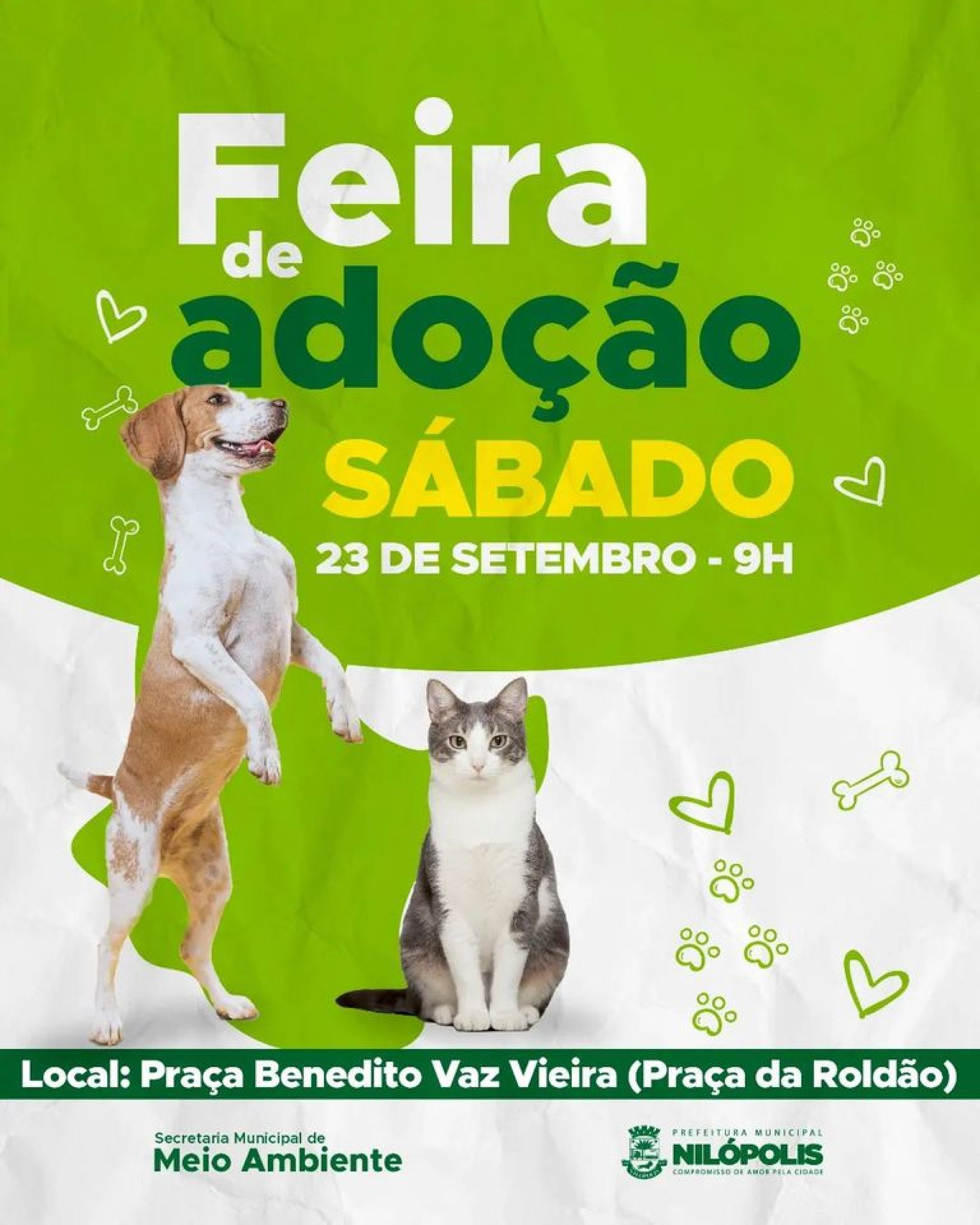 A Feira Municipal de Adoção de Animais está marcada para a Praça Benedito Vaz Vieira - Divulgação / PMN