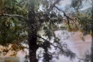 ‘Declaração de amor