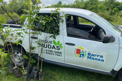 Barra Mansa promove atividades no Dia da Árvore