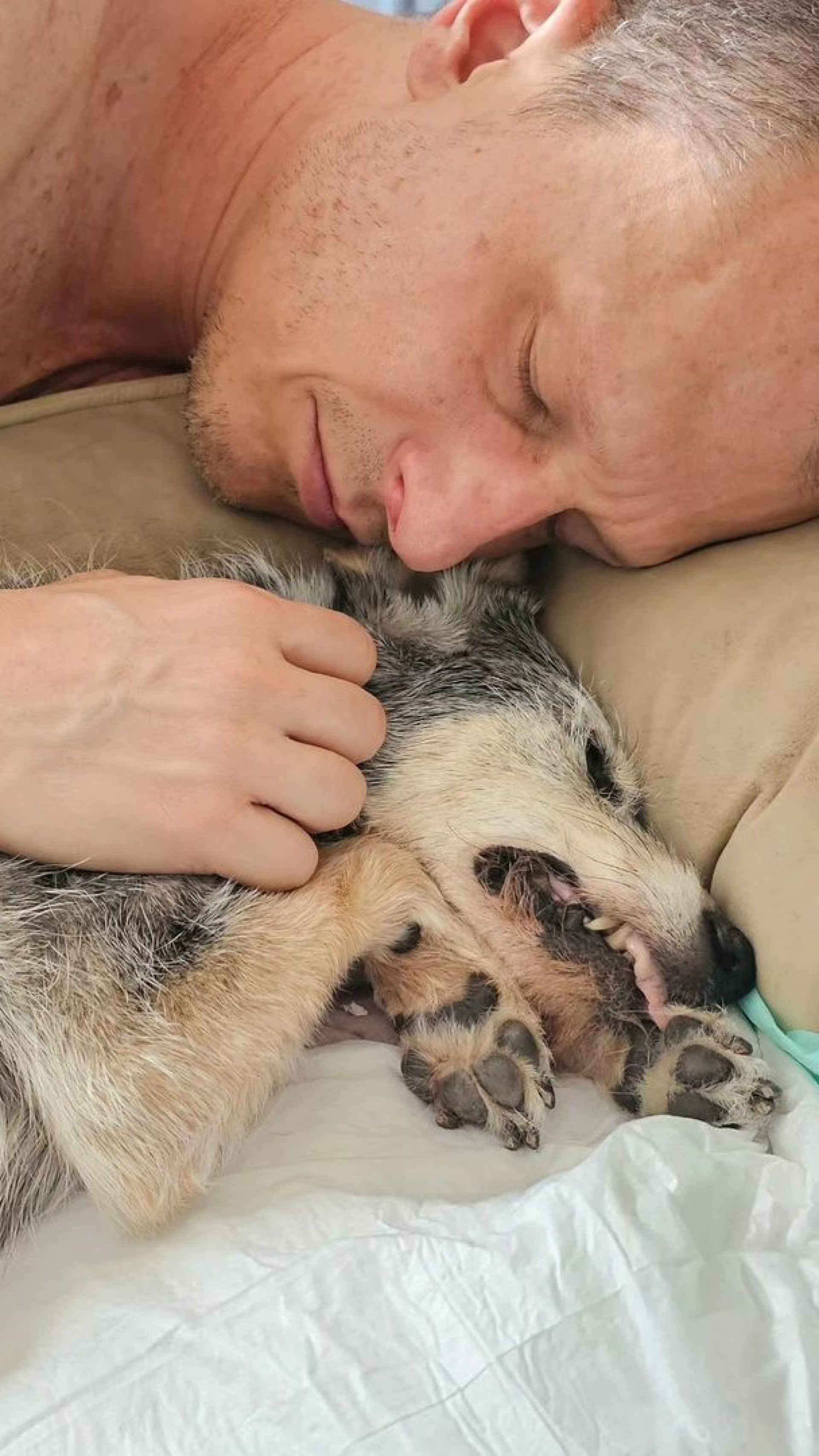 Morreu, nesta quarta-feira (20), a cachorrinha Estopinha, do especialista em comportamento animal Alexandre Rossi. A cadela ficou conhecida por ser a primeira 'influencer pet' do pa&iacute;s, ap&oacute;s aparecer em v&aacute;rios programas de televis&atilde;o com o dono - Reprodu&ccedil;&atilde;o / Instagram 