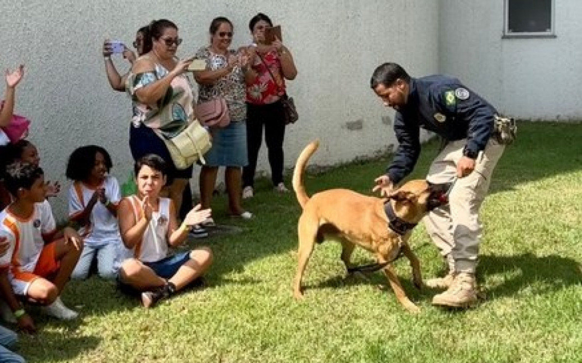 Na ação houve apresentação dos agentes caninos usados nas ações dos policiais rodoviários federais