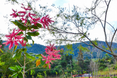 Prefeitura de Paty promove Pedal Ecológico até o Bosque Maravilha