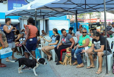 Castramóvel do RJPET encerra atendimentos na Praça da Matriz nesta sexta (22)