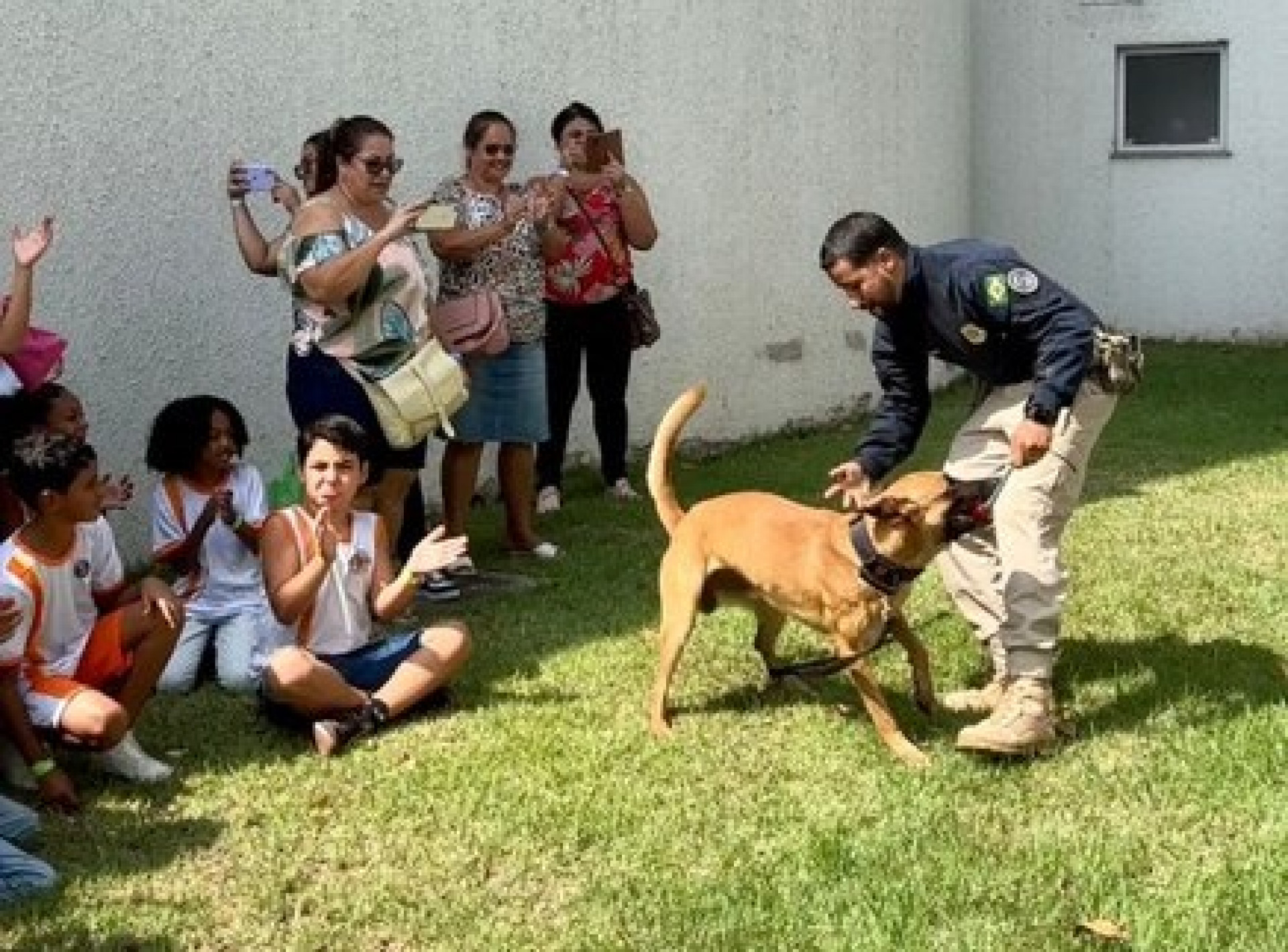 Na a&ccedil;&atilde;o houve apresenta&ccedil;&atilde;o dos agentes caninos usados nas a&ccedil;&otilde;es dos policiais rodovi&aacute;rios federais - Divulga&ccedil;&atilde;o / PRF