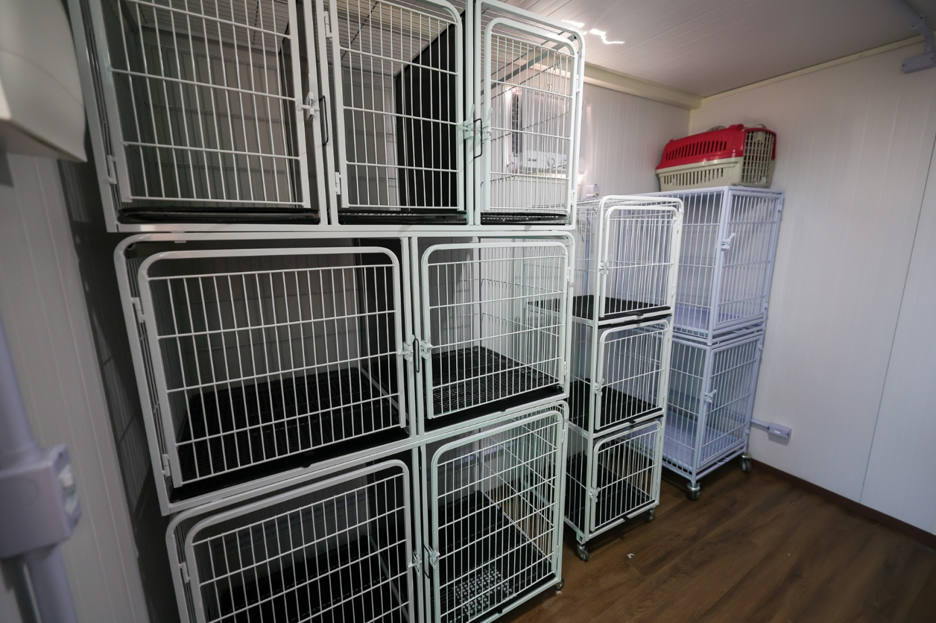 Secretaria dos Direitos dos Animais ganha nova sede com consultório em Saquarema
 - Divulgação/Prefeitura de Saquarema