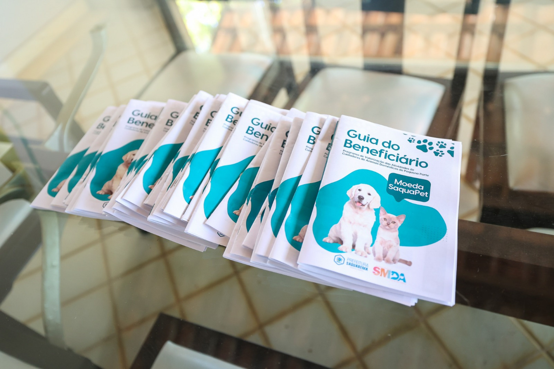 Secretaria dos Direitos dos Animais ganha nova sede com consultório em Saquarema
 - Divulgação/Prefeitura de Saquarema