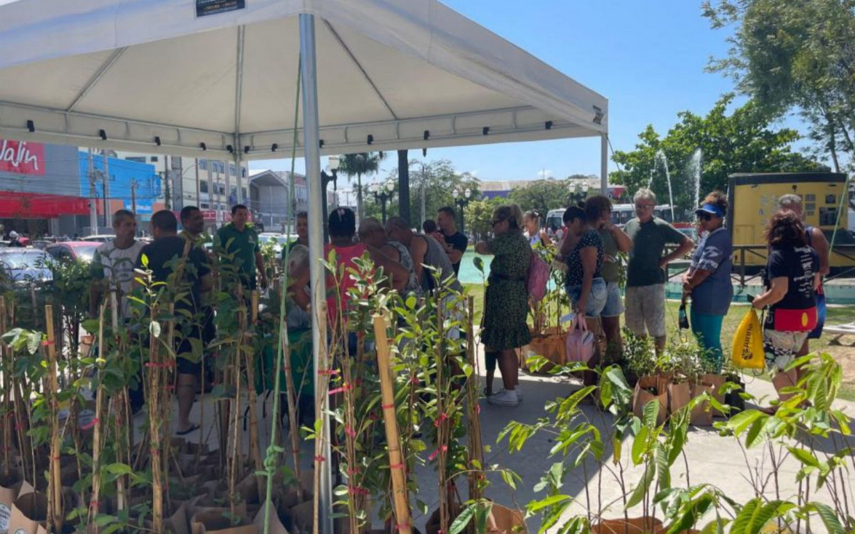 Dia da Árvore | Projeto Araruama Verde