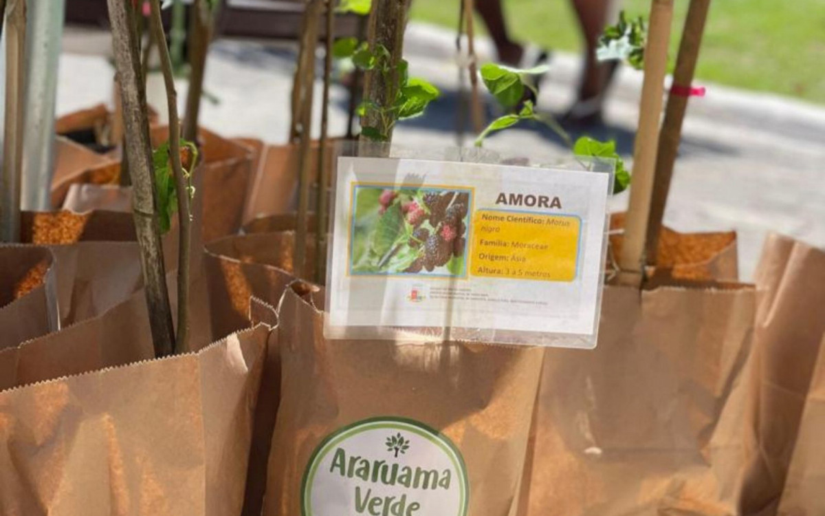 Dia da Árvore | Projeto Araruama Verde