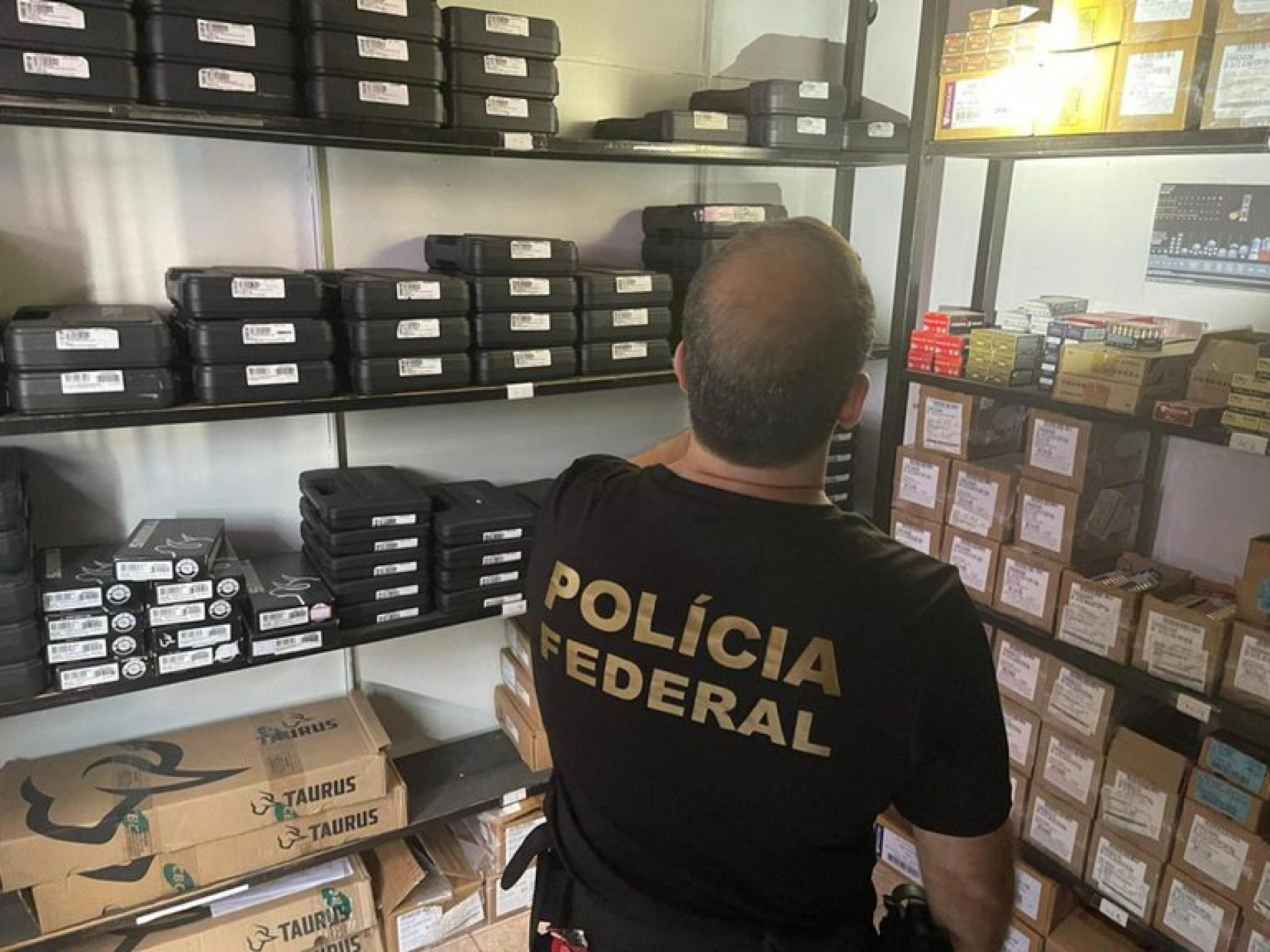 As armas e munições foram encaminhadas à Superintendência Regional da PF no Rio de Janeiro para a formalização da apreensão - Divulgação / PF