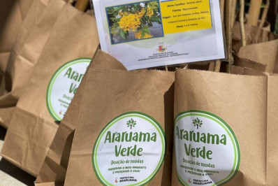 Araruama é Verde: mais de 20 mil mudas doadas através do revolucionário projeto de sustentabilidade ambiental