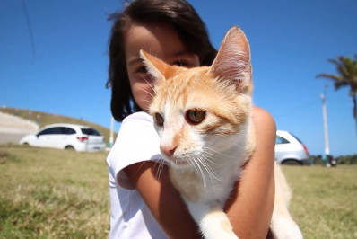 Campanha de Adoção de Animais Domésticos acontece neste sábado em Saquarema