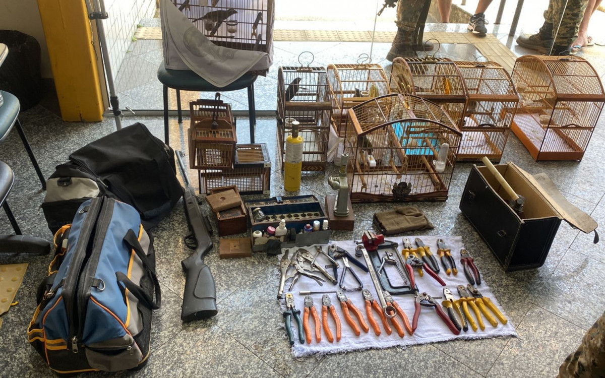 Os policiais ambientais encontraram apreenderam gaiolas, alicates e outros itens usados em caça ilegal