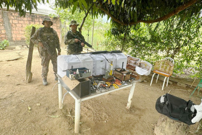 Pássaros silvestres são resgatados em Guapimirim