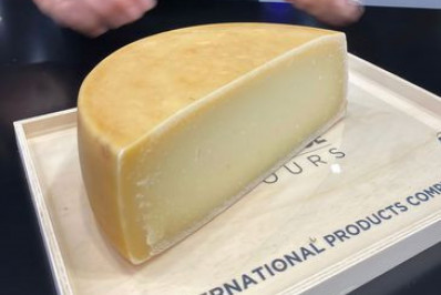 Queijo do Brasil fica entre os 12 melhores do mundo em torneio francês