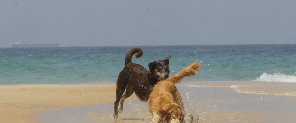 Movimentação na praia de Ipanema, Rio de Janeiro, nesta Segunda-feira (25). - Reginaldo Pimenta / Agencia O Dia