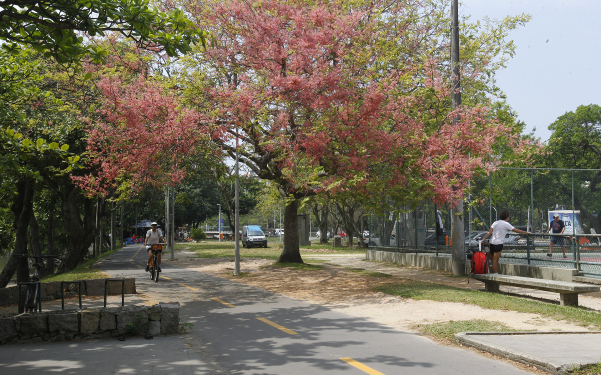 Movimentação na Lagoa Rodrigo de Freitas, na zona sul do Rio de Janeiro, nesta Segunda-feira (25). - Reginaldo Pimenta / Agencia O Dia