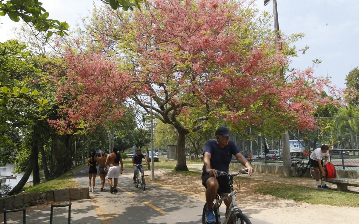 Movimentação na Lagoa Rodrigo de Freitas, na zona sul do Rio de Janeiro, nesta Segunda-feira (25). - Reginaldo Pimenta / Agencia O Dia