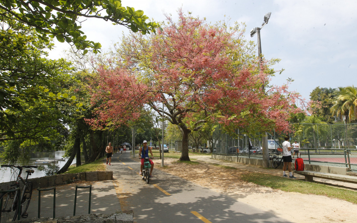 Movimentação na Lagoa Rodrigo de Freitas, na zona sul do Rio de Janeiro, nesta Segunda-feira (25). - Reginaldo Pimenta / Agencia O Dia