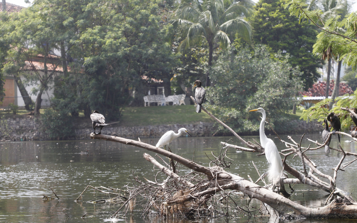 Movimentação na Lagoa Rodrigo de Freitas, na zona sul do Rio de Janeiro, nesta Segunda-feira (25). - Reginaldo Pimenta / Agencia O Dia