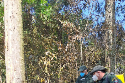 Incêndio no Parque da Cidade foi controlado no domingo