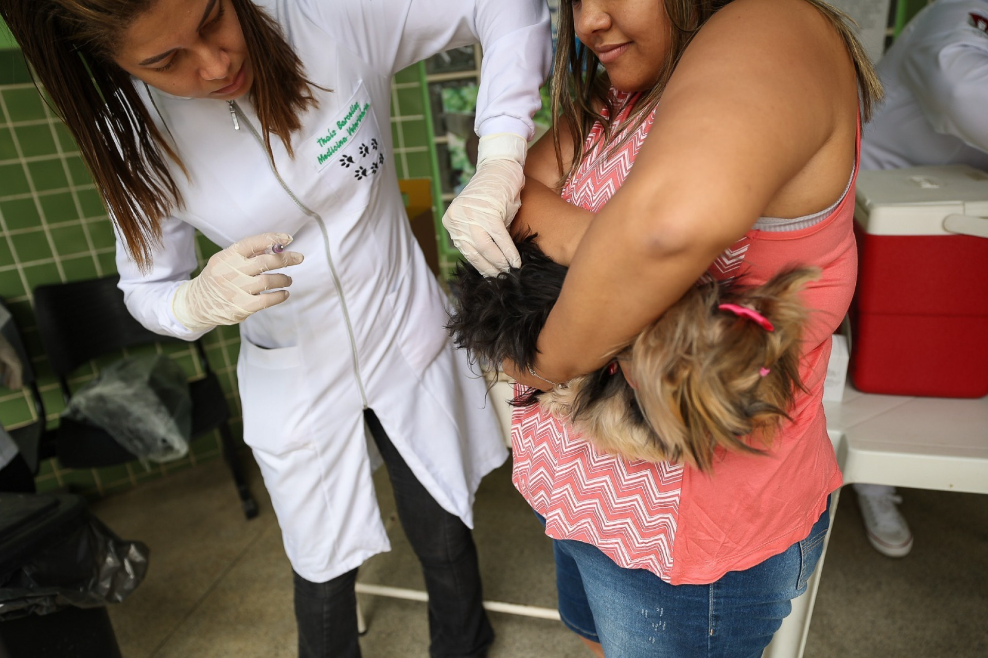 Campanha de Vacinação Antirrábica em Saquarema imuniza mais de 7 mil pets - Divulgação/Prefeitura de Saquarema