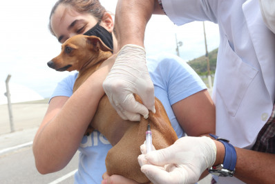 20 mil animais vacinados contra raiva em Niterói