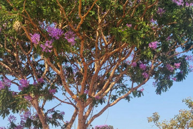 Fabiana Karla exibe beleza natural em passeio na Chapada dos Veadeiros: 'Lindíssima'