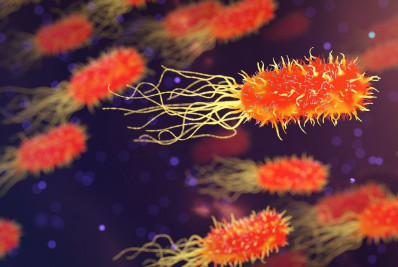 OMS alerta para aumento de casos de cólera no mundo