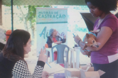 Mutirão de castração no Frade em outubro