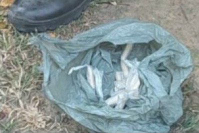 Polícia Militar encontra drogas em área de mata em Resende