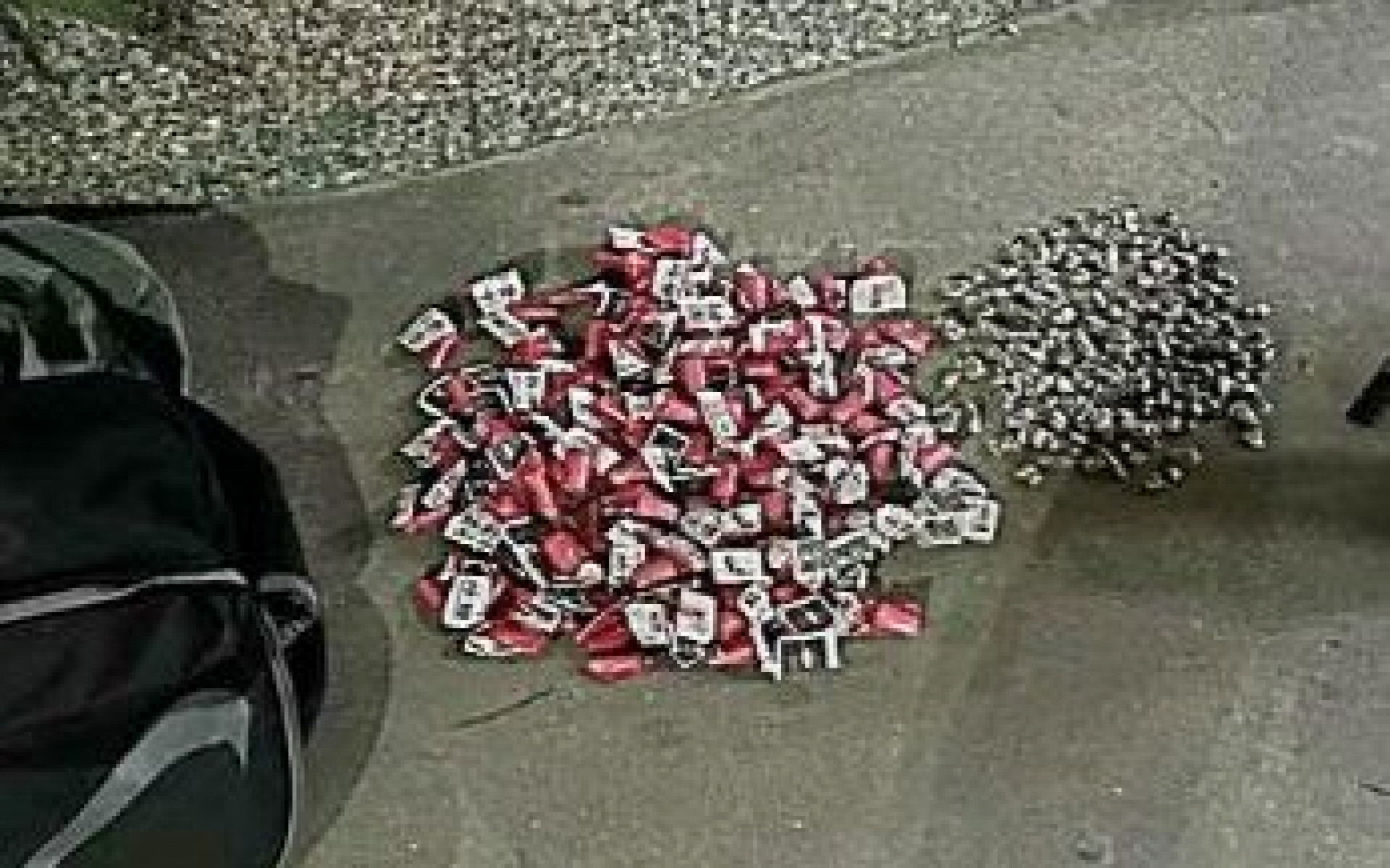 210 buchas de maconha e 142 pinos de coca&iacute;na. - Letycia Rocha (RC24h)