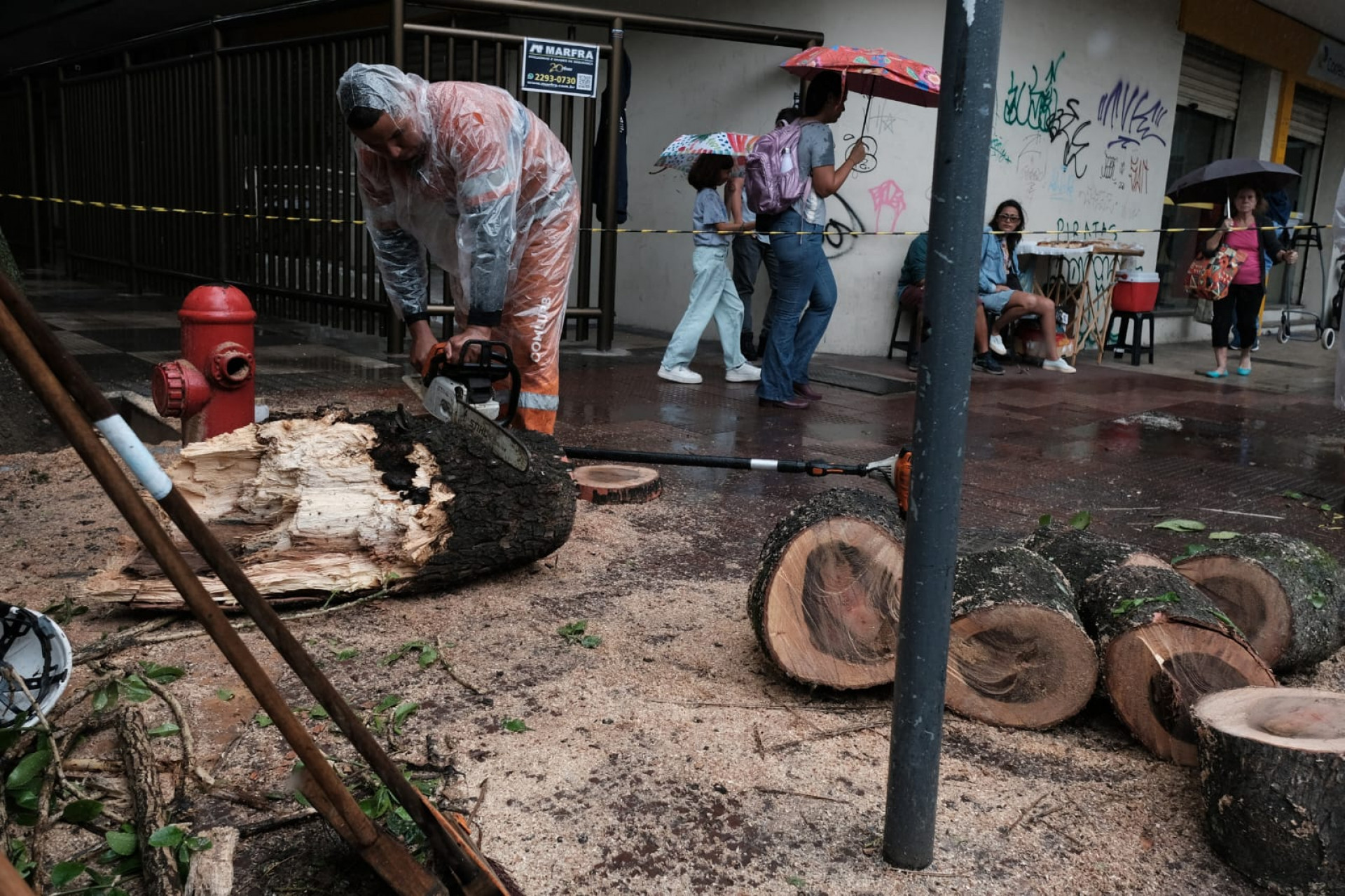 Bombeiros e agentes da Comlurb retiraram os troncos e galhos do meio da rua - Pedro Ivo / Agência O Dia