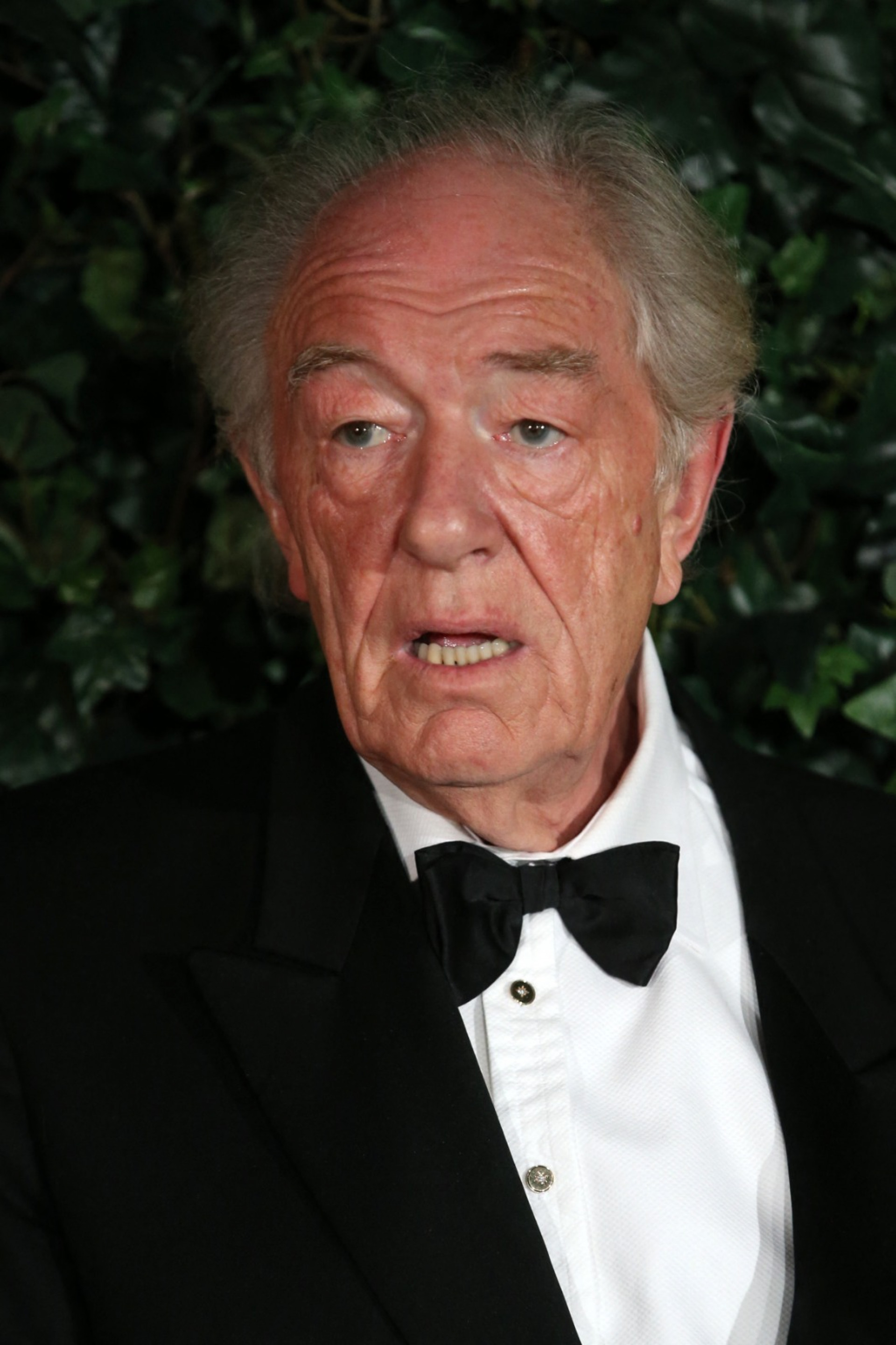 Michael Gambon, o segundo ator a interpretar o mago Dumbledore, de Harry Potter, morre aos 82 anos - AFP