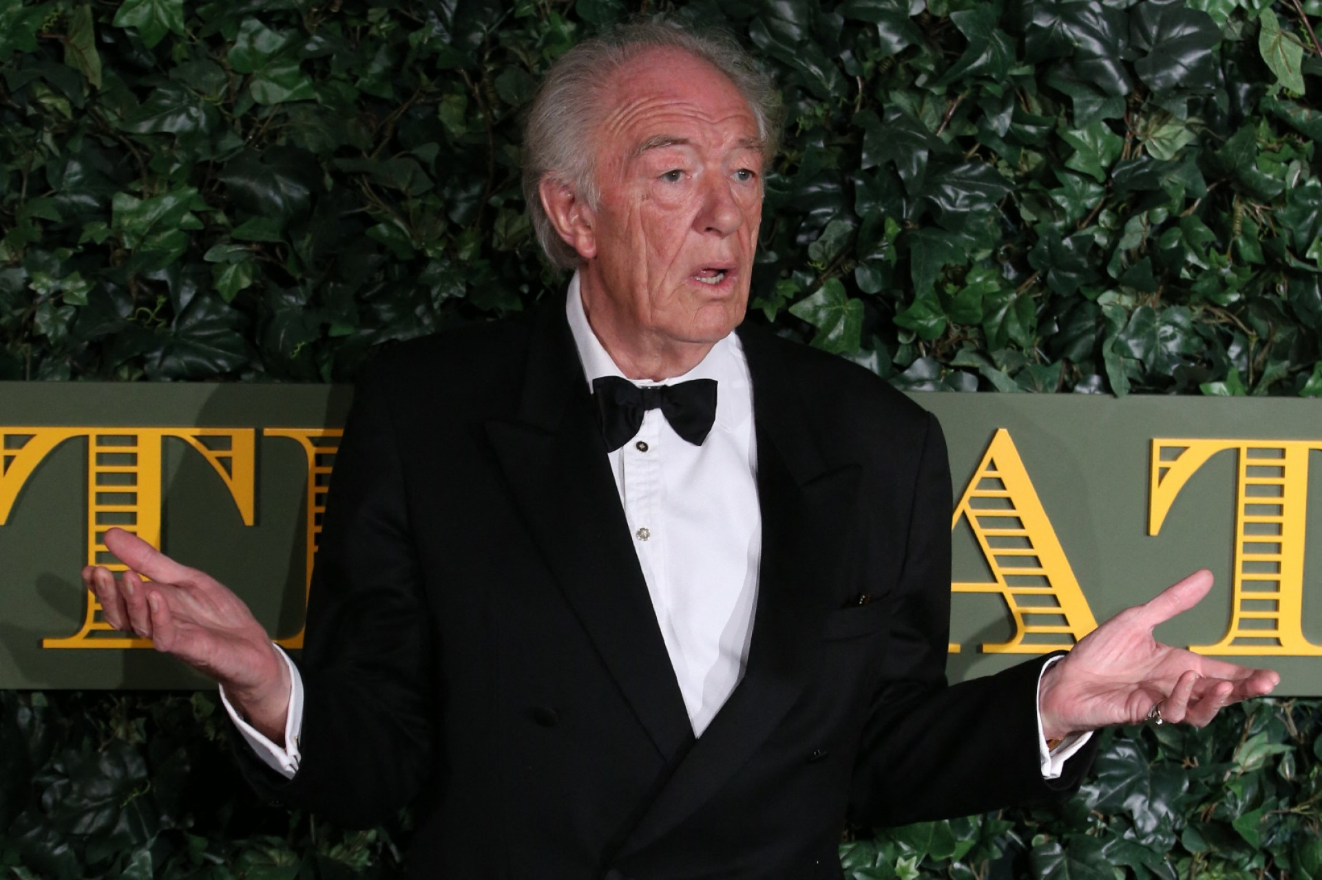 Michael Gambon, o segundo ator a interpretar o mago Dumbledore, de Harry Potter, morre aos 82 anos - AFP