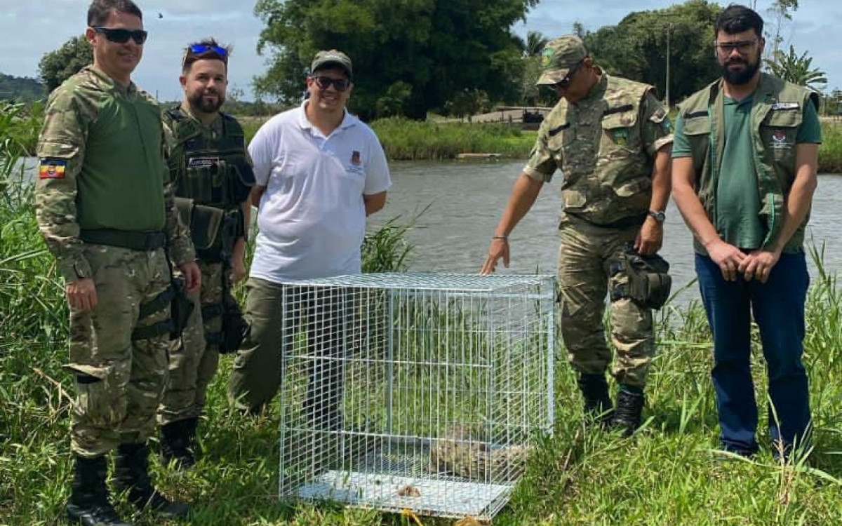  Espécie está ameaçada de extinção