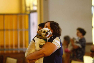 EUA: centenas de 'pets' recebem bênçãos na catedral de Nova York