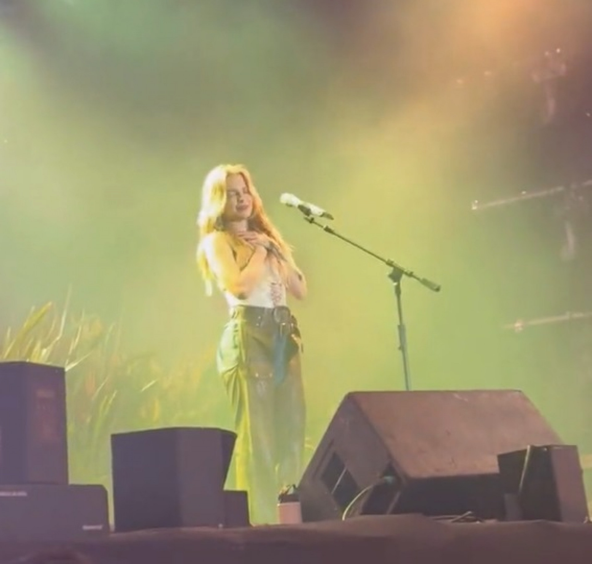 Fãs de Luísa Sonza xingam Chico Moedas em show - Reprodução de vídeo