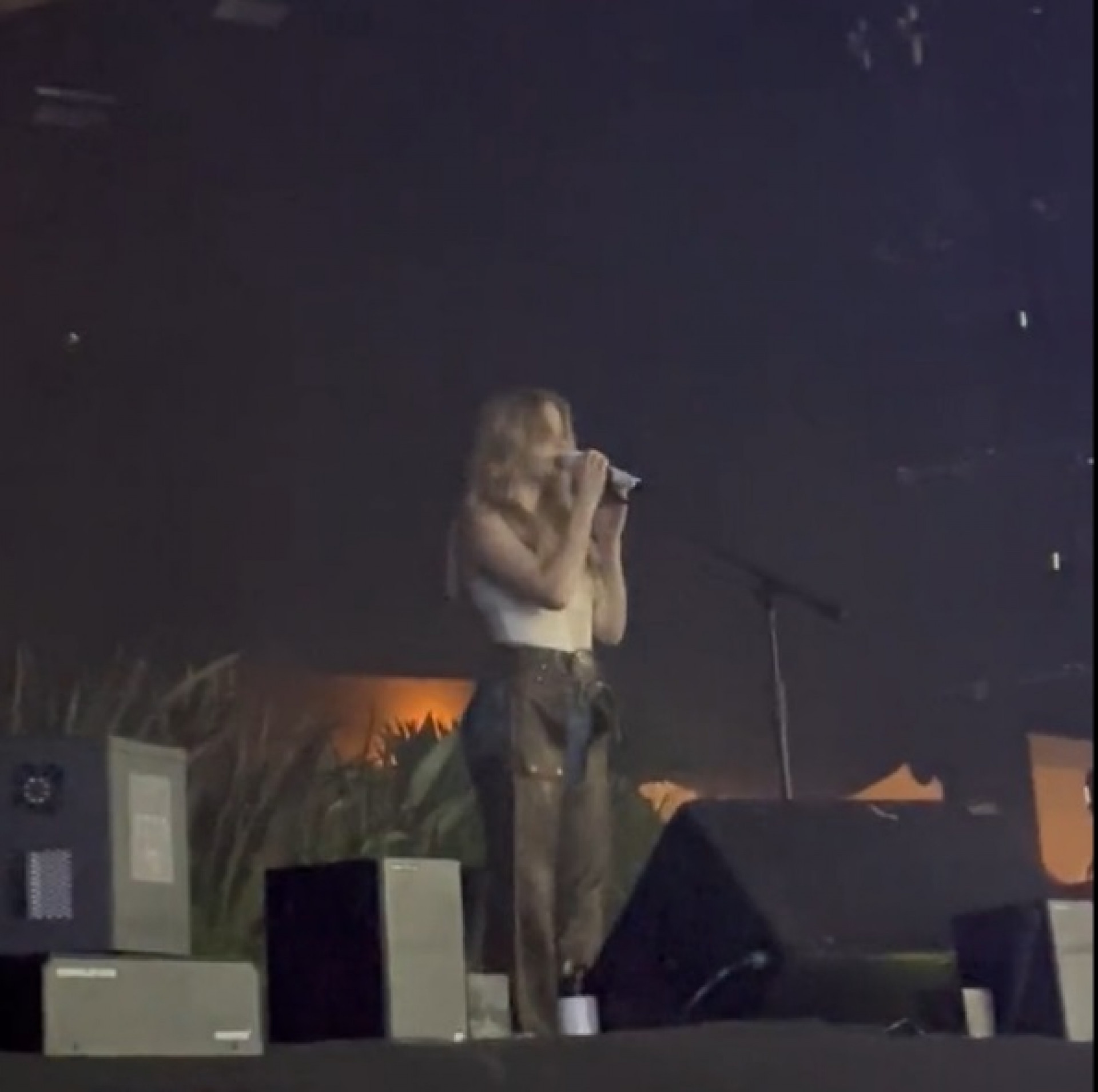 Fãs de Luísa Sonza xingam Chico Moedas em show - Reprodução de vídeo