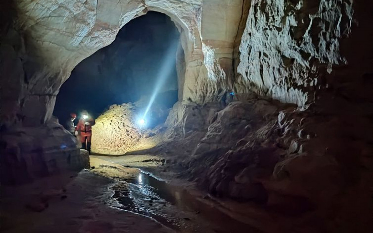 Cientistas buscam sensibilizar comunidades para conservação de bichinho