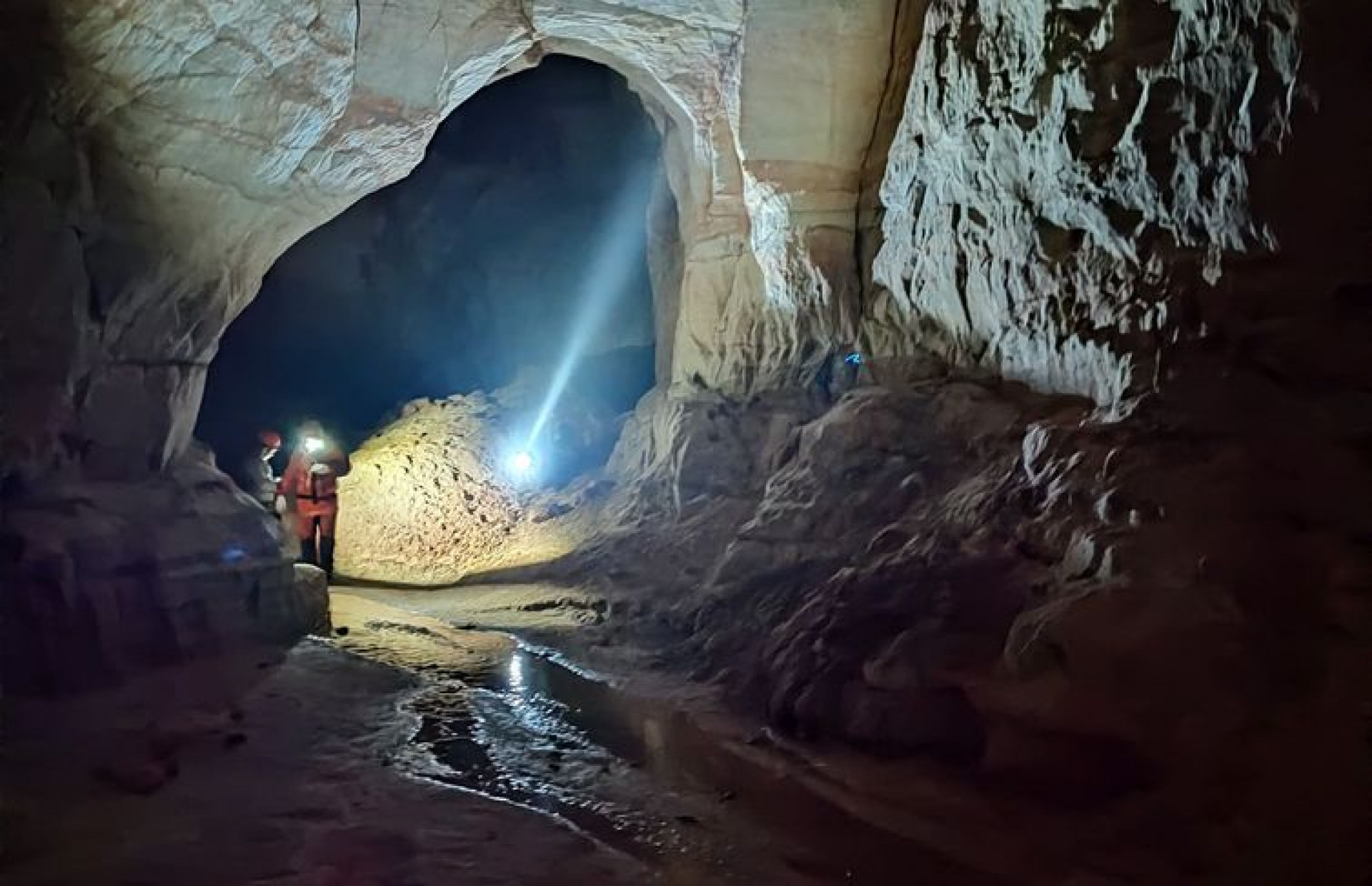 Cientistas buscam sensibilizar comunidades para conservação de bichinho - Acervo IDEFLOR-Bio/PAT Xingu