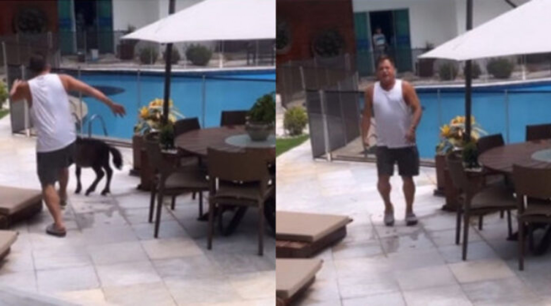 Leonardo dá chute em direção ao pônei da neta, Maria Alice - Reprodução Internet